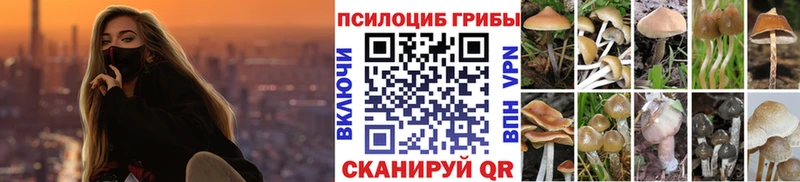 Галлюциногенные грибы MAGIC MUSHROOMS  Малмыж 